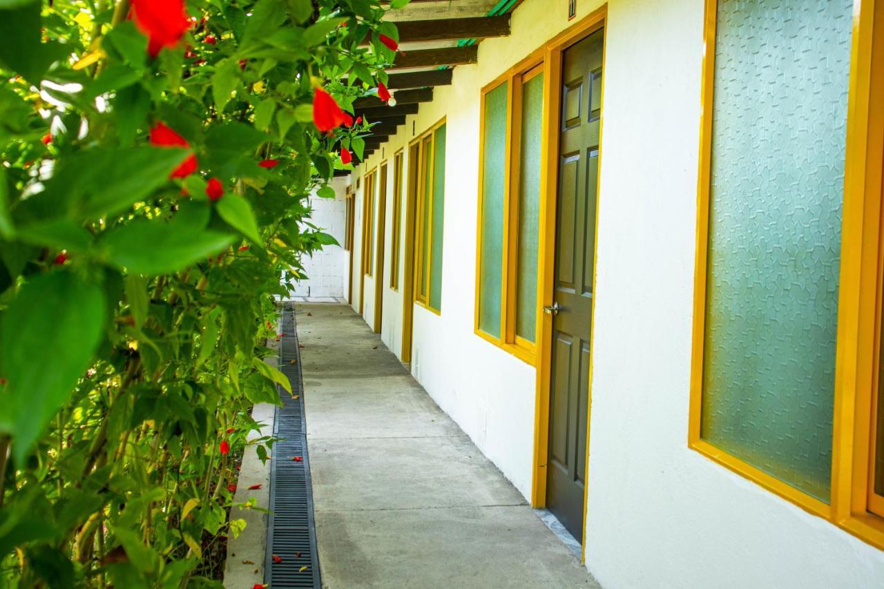 Hotel Villa Bosco Palmira  Εξωτερικό φωτογραφία